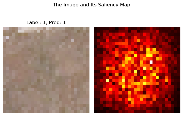 ../_images/CASESTUDY_CNN_satelite_2023_34_7.png