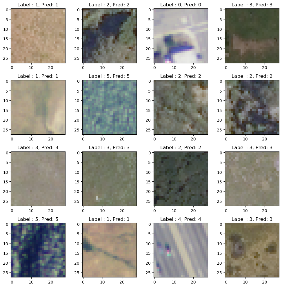../_images/CASESTUDY_CNN_satelite_with_GPT_code_2023_26_1.png