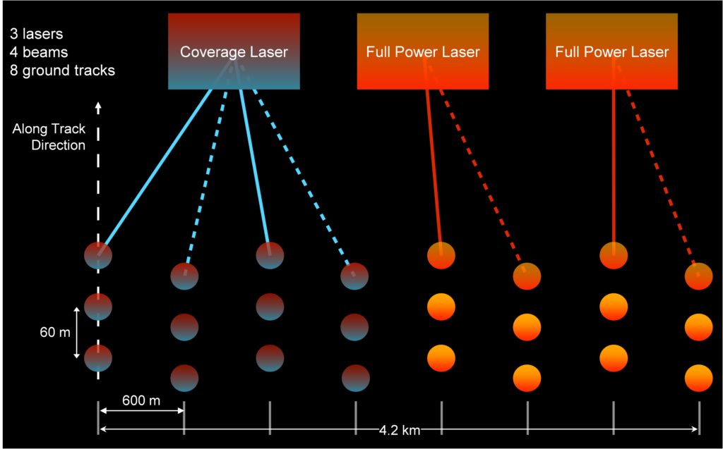 ../_images/CASESTUDY_Tree_Height_01DataExplore_10_0.jpg
