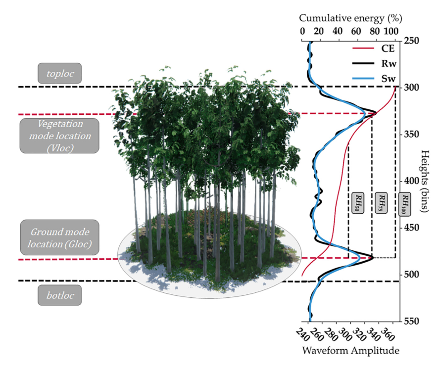 ../_images/CASESTUDY_Tree_Height_01DataExplore_8_0.png