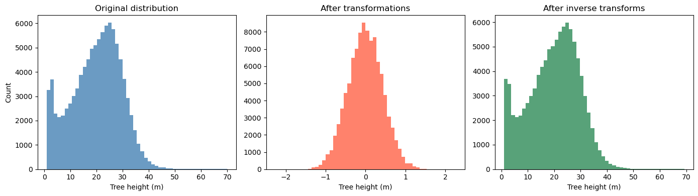 ../_images/CASESTUDY_Tree_Height_06Perceptron_complete_2025_7_0.png