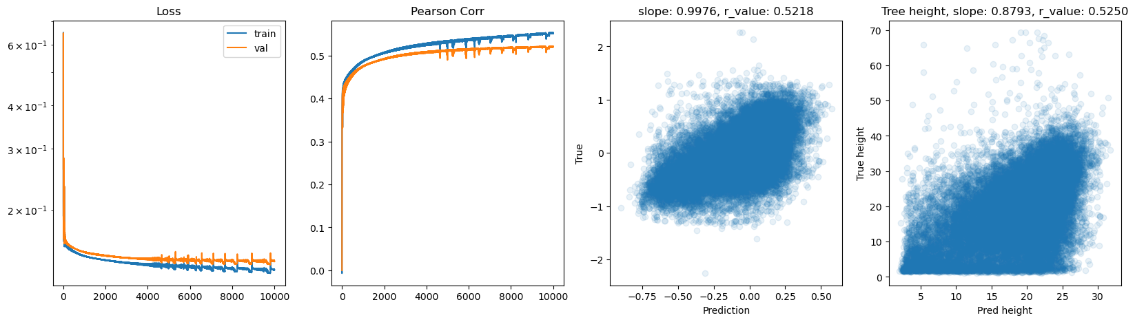 ../_images/CASESTUDY_Tree_Height_07FeedForward_Networks_2025_12_11.png