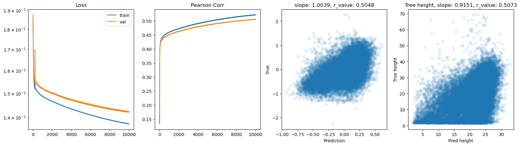 ../_images/CASESTUDY_Tree_Height_07FeedForward_Networks_2025_12_13.png
