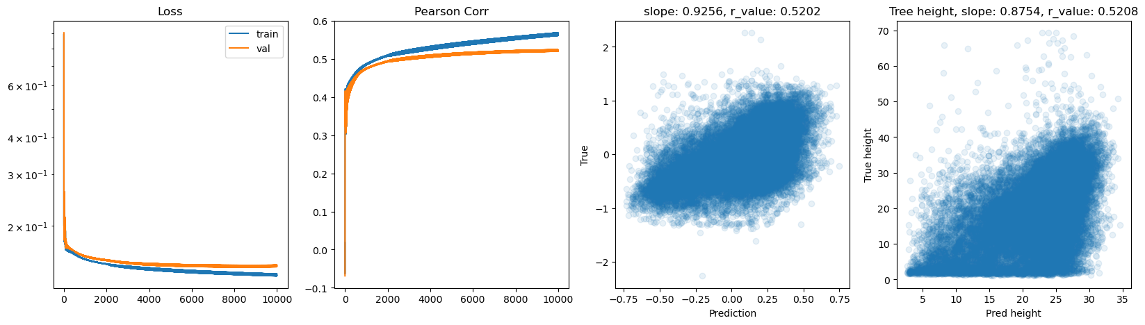 ../_images/CASESTUDY_Tree_Height_07FeedForward_Networks_2025_12_17.png