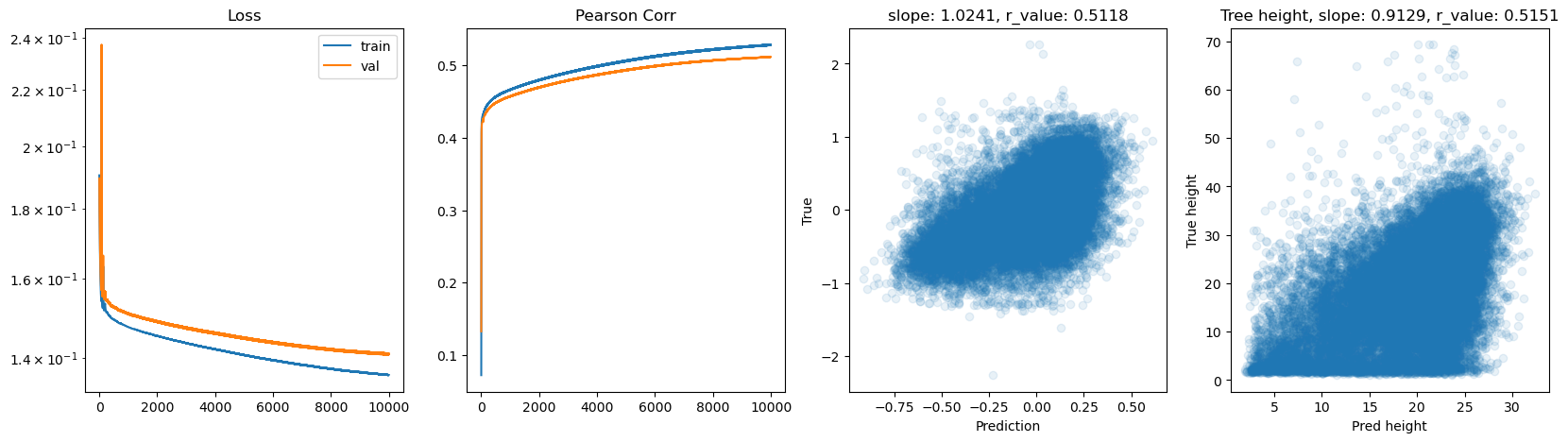../_images/CASESTUDY_Tree_Height_07FeedForward_Networks_2025_12_21.png