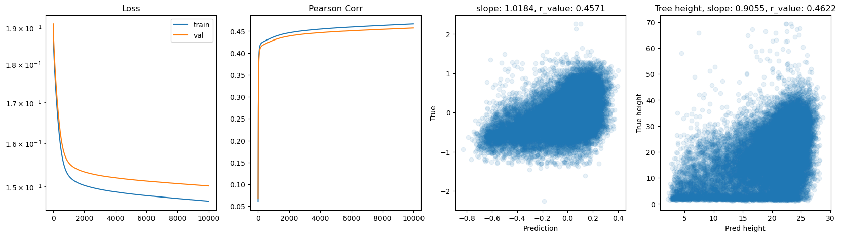 ../_images/CASESTUDY_Tree_Height_07FeedForward_Networks_2025_12_23.png