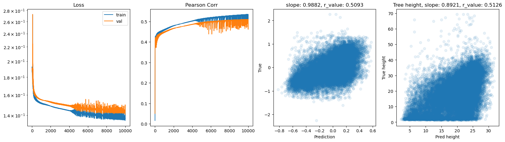 ../_images/CASESTUDY_Tree_Height_07FeedForward_Networks_2025_14_3.png