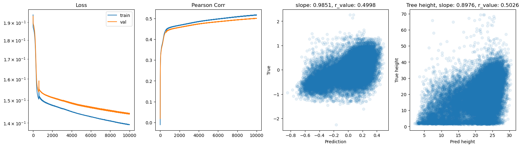 ../_images/CASESTUDY_Tree_Height_07FeedForward_Networks_2025_14_5.png