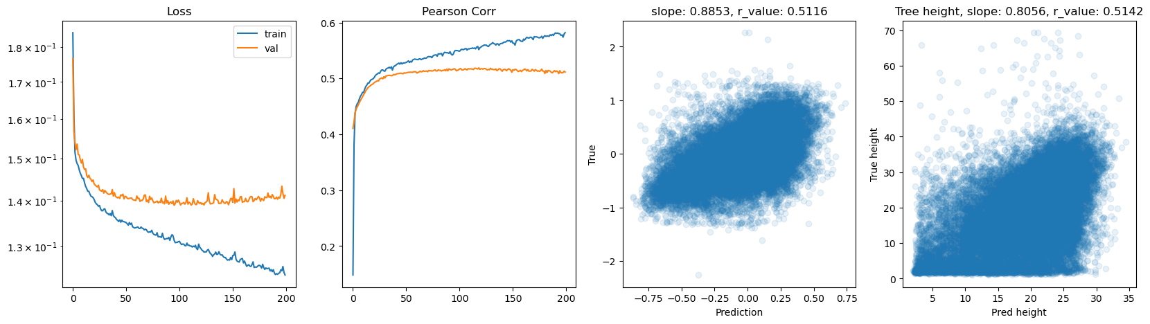 ../_images/CASESTUDY_Tree_Height_07FeedForward_Networks_2025_16_1.png
