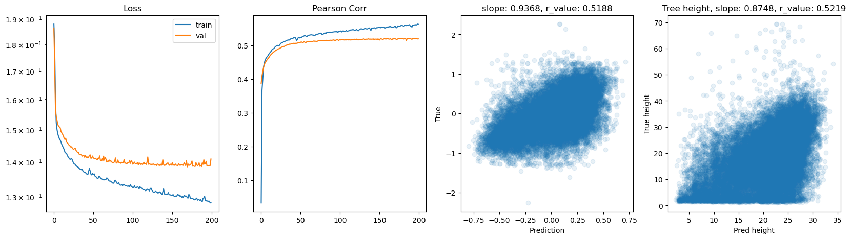../_images/CASESTUDY_Tree_Height_07FeedForward_Networks_2025_16_3.png