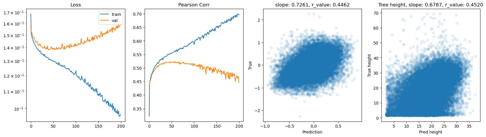 ../_images/CASESTUDY_Tree_Height_07FeedForward_Networks_2025_16_7.png