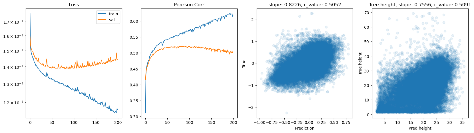 ../_images/CASESTUDY_Tree_Height_07FeedForward_Networks_2025_16_9.png