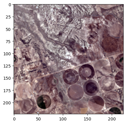 ../_images/CASESTUDY_foundation_model_IIASA2024_13_2.png